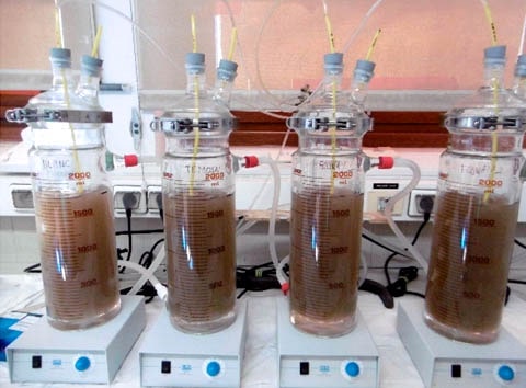 Inherent Biodegradability